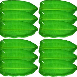 Melamine(SIZE-19 X 12 CM)Banana Leaf Platter Plate for All Occasions Quarter Plate-image-22