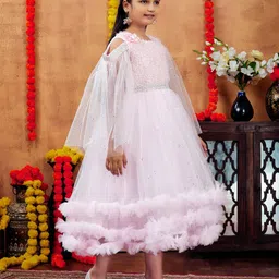 Aarika Net A-Line Dress image 4