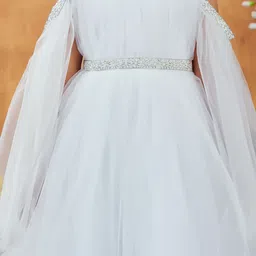 Aarika Net A-Line Dress image 4