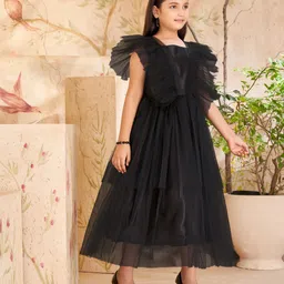 Aarika Flutter Sleeves Net Fit and Flare Maxi Dress image 2