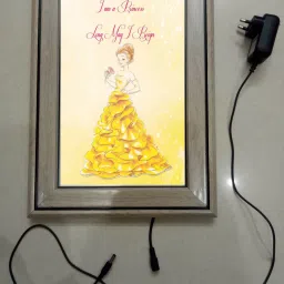 , CINDERELLA MODAL NO-24 , 15.5 inch LED PHOTO FRAME-18