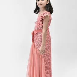 Eavan Girls Self Design Flutter Sleeve Net Maxi Dress image 4