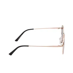 Ted Smith Round Sunglasses with Polarised and UV Protected Lens OCTAVE_C2 image 4