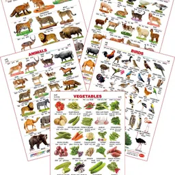 spectrum Set of 5 Educational Large Wall Charts : ( Wild Animals , Domestic Animals , Animals , Birds & Vegetables )-picture-11