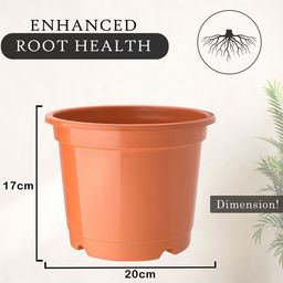 Kuber Industries Set Of 3 Orange-Coloured Planter With Pot image 5
