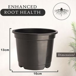 Kuber Industries Set Of 6 Black & Green Planter With Pot image 5