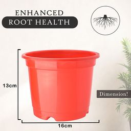 Kuber Industries Set Of 5 Red Planter With Pot image 5