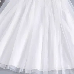 BAESD Flutter Sleeve Net Belted Fit & Flare Dress image 5