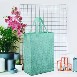 Kuber Industries Set of 12 Printed Non-Woven Reusable Shopper Handheld Bags image 5