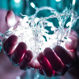 The Purple Tree Decorative Warm White String Lights image 2