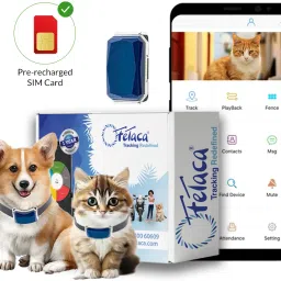Smart Collars for Pet Safety: Dogs, Cats, and More Safety Smart Tracker-34