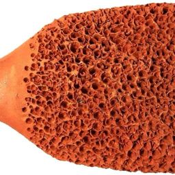 TurtulsGroup Terracotta Best Natural Pumice Stone Foot Scrubber Handmade Organic Clay eco Friendly Dead Skin Remover Women Men Unisex Foot Heel Filer Scraper-image-54