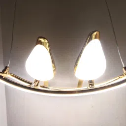 LED Metal Chirpy Twin Pendant Hanging Lights for Living Room Hall Pendants Ceiling Lamp-image-6