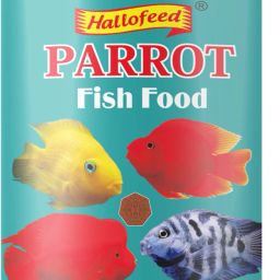 Special Parrot Fish Food,100gm 0.1 kg Dry Adult, Young, Senior Fish Food-image-54