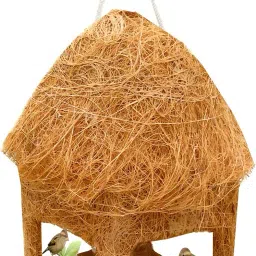 liveonce natural bird feeder Window Bird Feeder Bird Feeder image 2