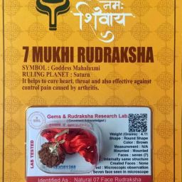 7 Mukhi Rudraksha With Lab Certified Wood Pendant-10