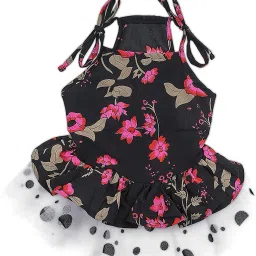 Frock, Dress for Dog, Cat-image-8