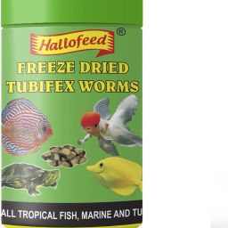 SPECIAL TUBIFEX WORMS 12gm Sea Food 0.012 kg Dry Adult Fish Food-image-56