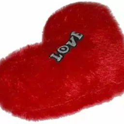 Microfibre Quotes Cushion Pack of 1-image-6