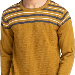Men Striped Round Neck Yellow Sweater-image-72