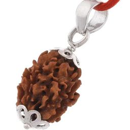 sreegems 3 Mukhi Rudraksha Original Certified 3 Face Rudraksha with Capping Trimukhi Rudraksha Bless By Agni Dev 3 Mukhi Rudraksha Nepali Tin Mukhi Rudraksha 3 मुखी रुद्राक्ष 3 Mukhi Rudraksha Pendant image 3