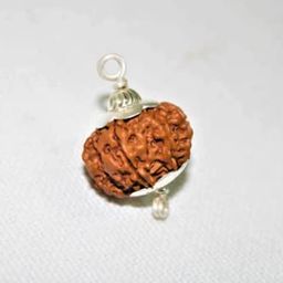 Dine Gems Brahma Rudraksha 4 Faced Rudraksha Original Rudraksha Chaar Mukhi Rudraksha 4 Mukhi Rudraksha Original Certified Nepal Four Faced Rudraksha Real Char Mukhi Rudraksha image 2
