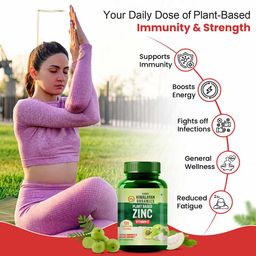 Vlado's Himalayan Organics Zinc with Vitamin C,  120 tablet(s)  image 1