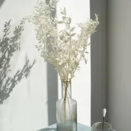 artecasa Ruscus White 5 Stems Natural Dried Flowers-picture-8
