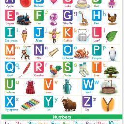 target publications English And Hindi Alphabet And Numbers Charts For Kids (English Alphabets And Hindi Varnamala - Set Of 2 Charts) | Perfect For Homeschooling, Kindergarten And Nursery Children | (39.25 X 27.25 Inch) image 5