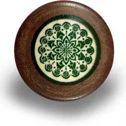 Plastic Carrom Striker-picture-20