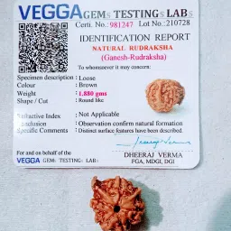 Geanesh rudraksha / nepali ganesh rudraksha Wood-image-93