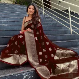 Printed Banarasi Cotton Silk Saree-23