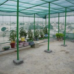 Green Shade NET - 50% / Sun Light blocking ( 3 Metre x 50 Metre) multipurpose For gardening / polyhouse/Green house /nursery/plants/ home balcony/ agro net/ terrace garden/sun shade for balcony / Dust Protect shade nets- (3m x 50m, Green) Portable Green House-image-61