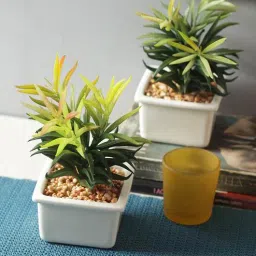 Green Artificial Succulent Plant with Ceramic Pot by Fourwalls-picture-43