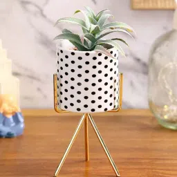 fourwalls Polyurethane Waze Green Succculent In Ceramic Pot With Metal Stand Artificial Plant-picture-40