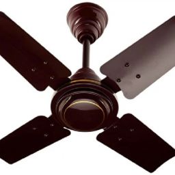 Storm 600 600 4 Blade Ceiling Fan-image-49