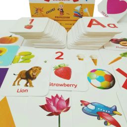 All in One Flash Cards for Kids(Non-Tearable flashcards-Water Proof)-14