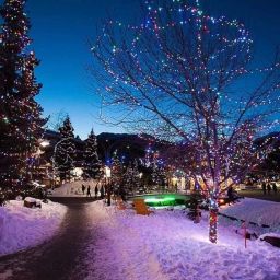 40 LEDs 11 m Multicolor Steady String Rice Lights-image-71