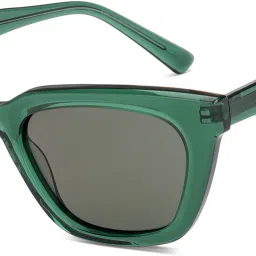 Polarized, UV Protection Cat-eye Sunglasses (53)-picture-14