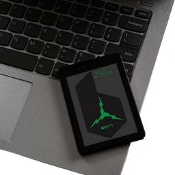 BRYT SATA SSD 256 GB All in One PC's, Desktop, Laptop, Surveillance Systems Black, Green SATA III Internal Solid State Drive (SSD) (BR-5001-30)-20