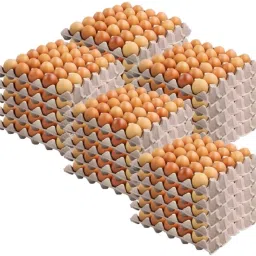 Egg holder Egg Holder-picture-17