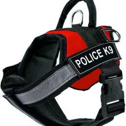 Dog Harness Double Padded Vest with Adjustable XL Dog Standard Harness-image-26