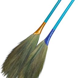 Grass Dry Broom-picture-11