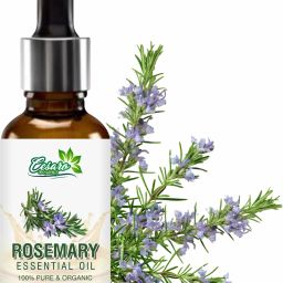 Rosemary Essential Oil 100% Pure & Natural for Hair Growth, Skin, Anti Dandruff-12