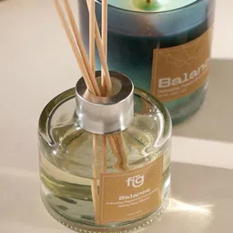 FIG Transparent Peppermint Reed Diffusor image 4