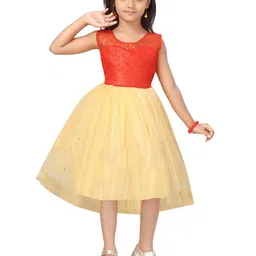 Aarika Red Net Dress-68