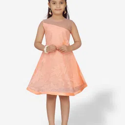 Aarika Sleeveless Self Design Fit & Flare Net Dress-picture-16