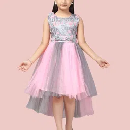 Aarika Girls Pink & Grey Net Midi Dress-picture-0