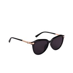 AISLIN Women Aviator Sunglasses with UV Protected Lens ES_13296-84-AS-15059-BLK-BKGL-AV-image-28