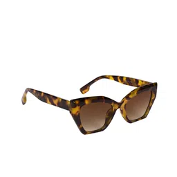 AISLIN Women Cateye Sunglasses with UV Protected Lens ES_13265-87-AS-2218-BRW-oBRW-CEBF-image-85